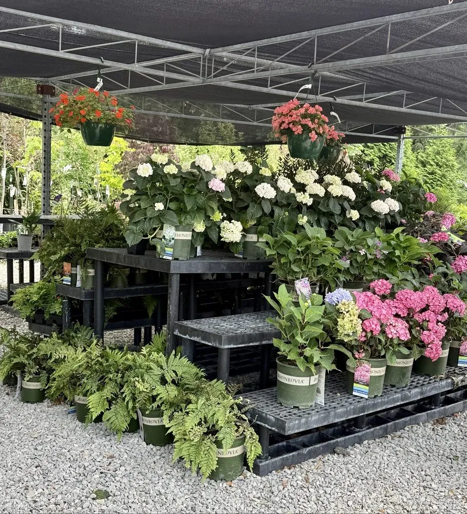Professional landscaping services with custom design across North Bend, OH - Cyndi's Garden