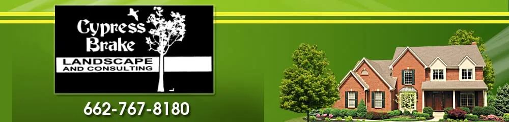 Local yard maintenance in Shannon, MS - Cypress Brake Landscape & Consulting