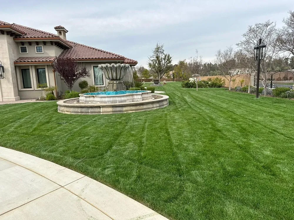 Affordable outdoor landscaping for homes across Fresno, CA - Cypress Creek Landscape