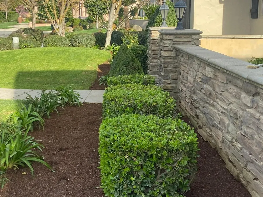 Top-rated landscaping services in Fresno, CA - Cypress Creek Landscape