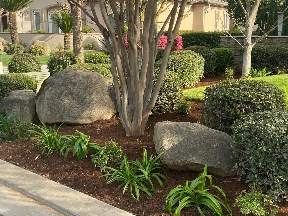 Affordable landscaping services in Fresno, CA by Cypress Creek Landscape