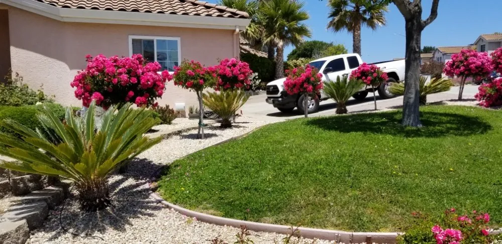 Custom residential landscaping for homes in Marina, CA by Cypress Gardening Service