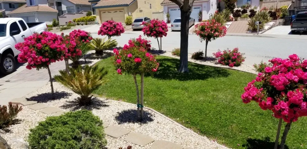 Trusted outdoor landscaping for residential properties across Marina, CA - Cypress Gardening Service