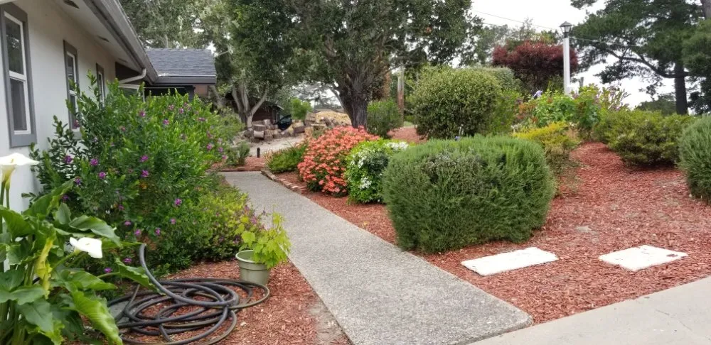 Custom lawn care service experts serving Marina, CA - Cypress Gardening Service