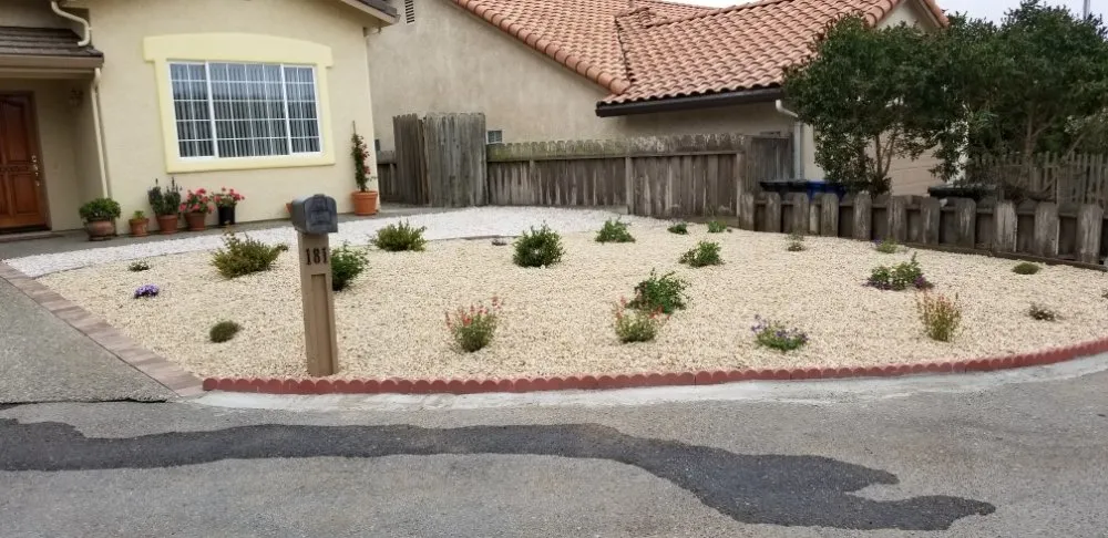 Top-rated lawn care service for year-round maintenance across Marina, CA - Cypress Gardening Service