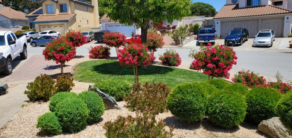 Custom lawn mowing service in Marina, CA - Cypress Gardening Service