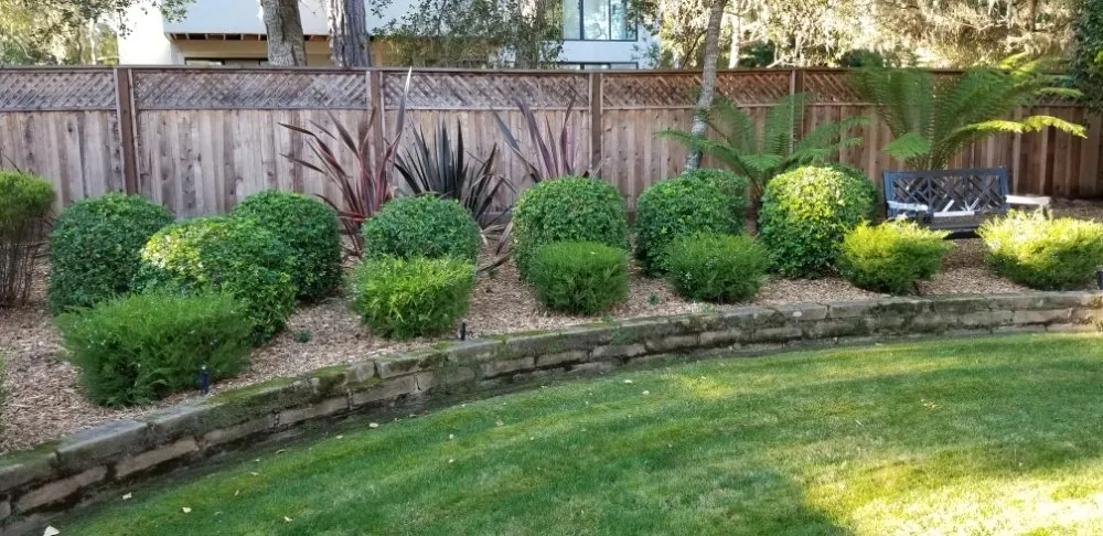 Affordable landscape installation experts serving Marina, CA - Cypress Gardening Service