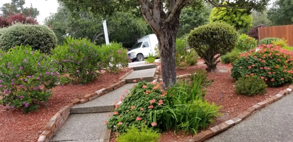 Trusted lawn care service for outdoor upgrades across Marina, CA - Cypress Gardening Service