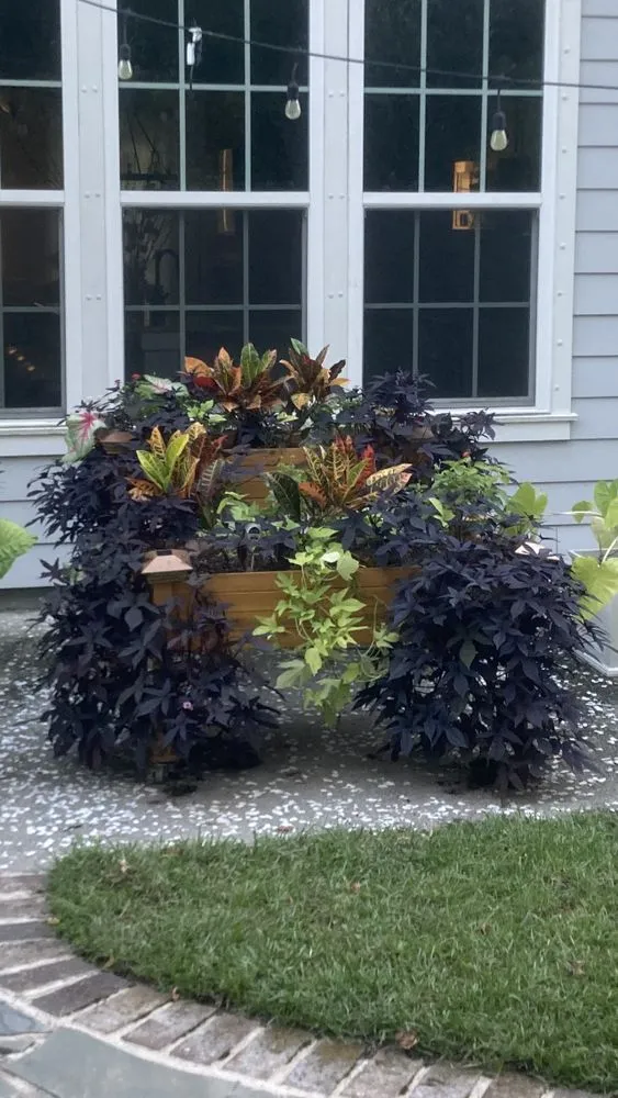 Affordable outdoor landscaping for year-round maintenance across Charleston, SC - Cypress Landscaping & Design