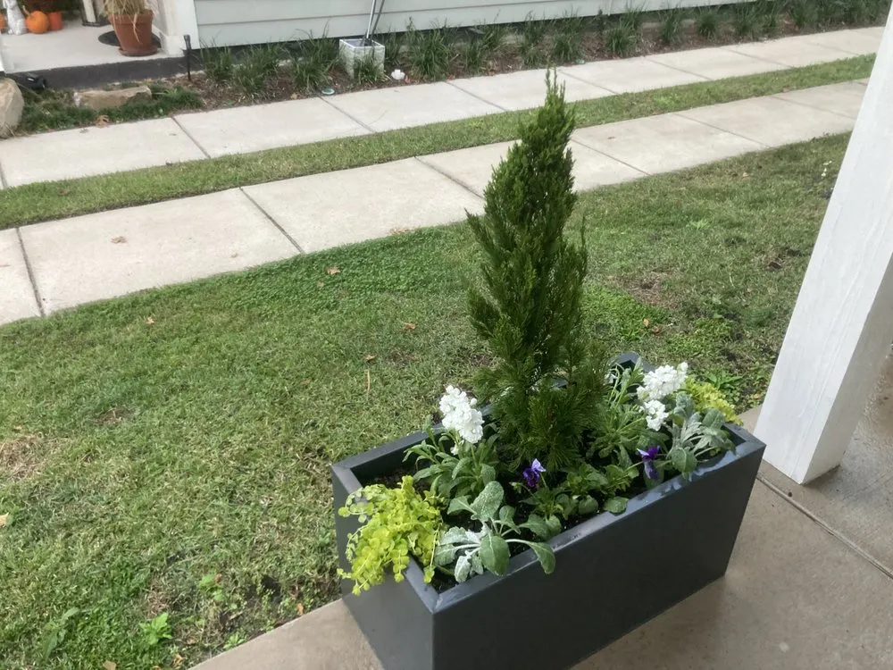 Trusted yard maintenance experts serving Charleston, SC - Cypress Landscaping & Design