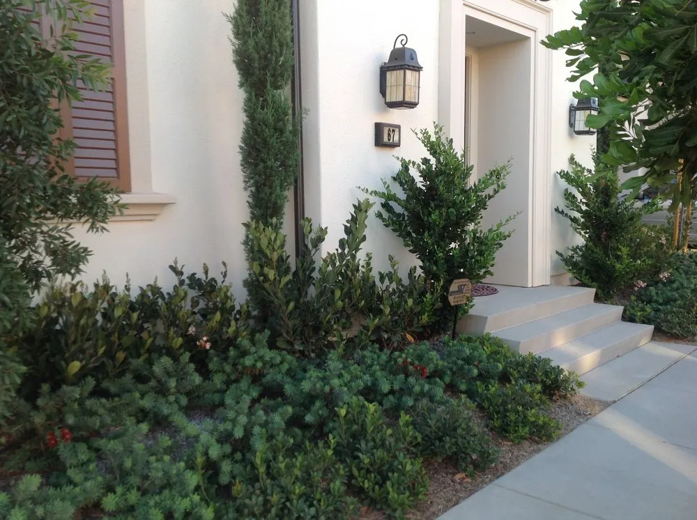 Affordable landscaping services for year-round maintenance in Cypress, CA by Cypress Landscaping