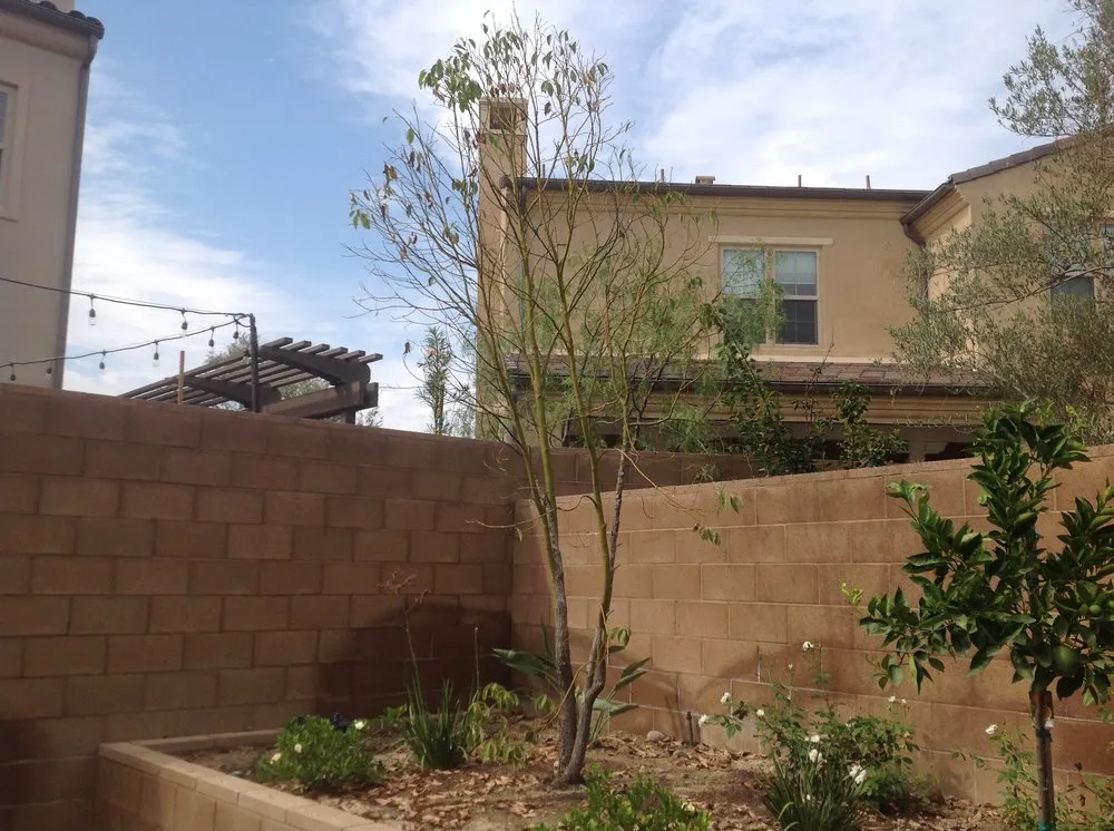 Expert yard cleanup service for outdoor upgrades in Cypress, CA by Cypress Landscaping