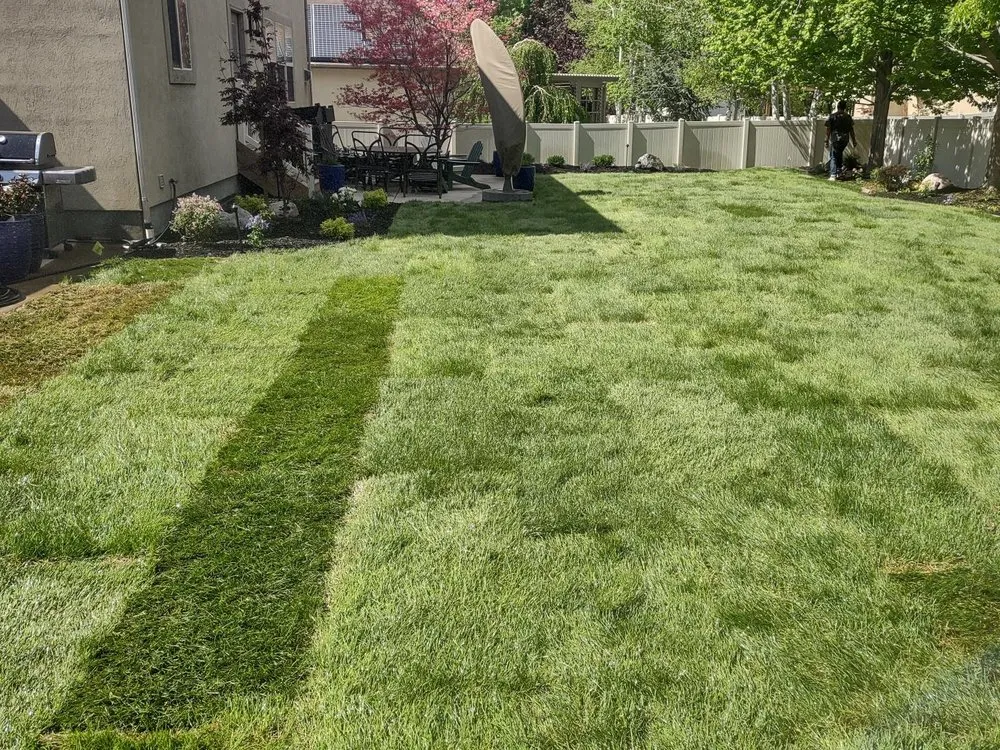 Professional lawn mowing service near you across Elk Ridge, UT - Cypress Landscaping