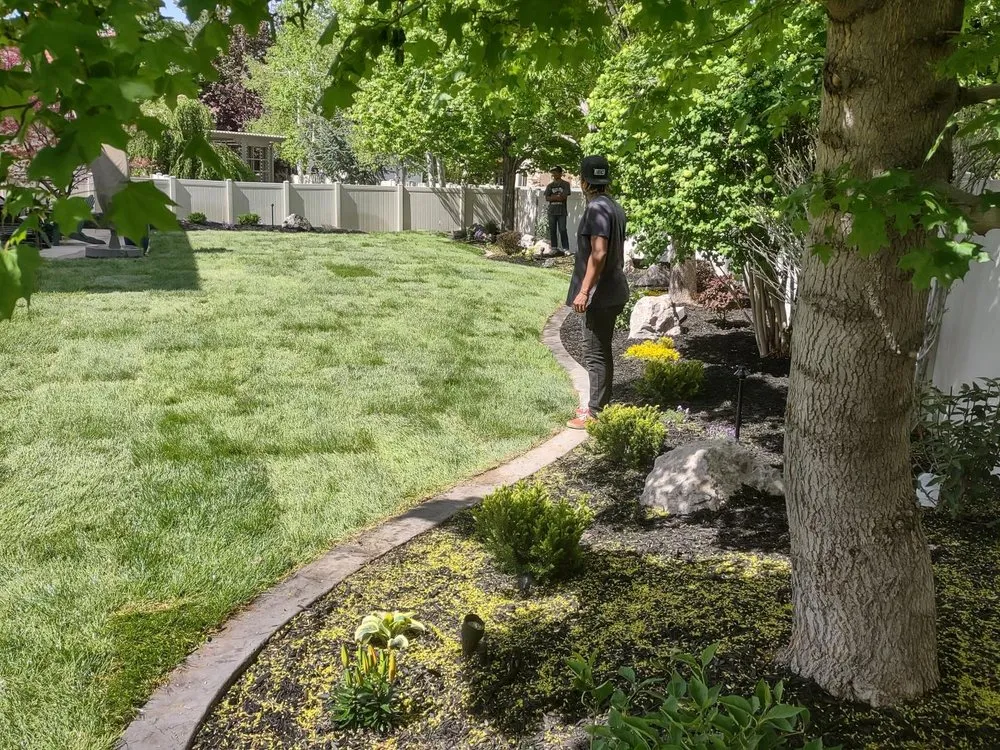 Top-rated yard cleanup service in Elk Ridge, UT by Cypress Landscaping