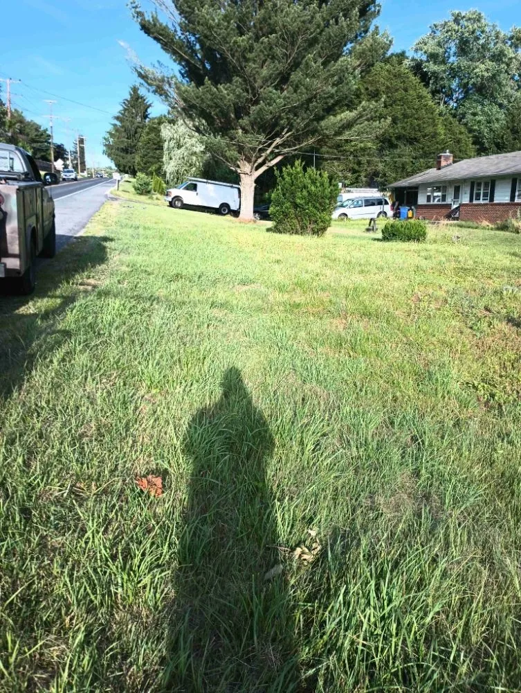 Affordable lawn mowing service with custom design in Dundalk, MD by Cypress Lawn & Landscape