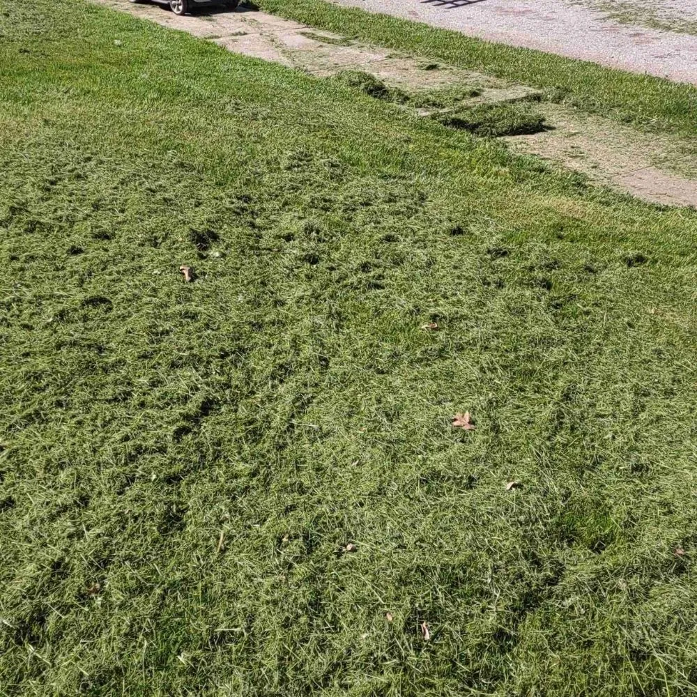 Affordable garden landscaping experts serving Dundalk, MD - Cypress Lawn & Landscape