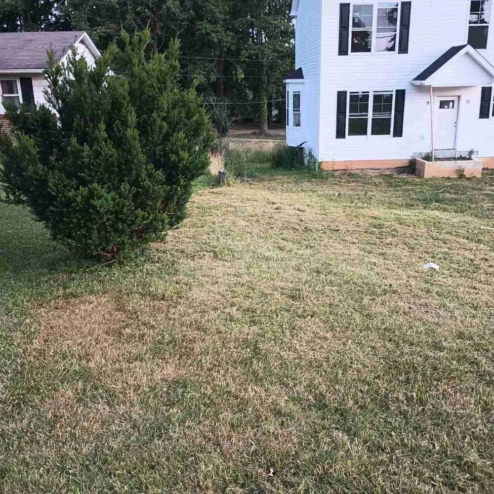 Reliable yard maintenance in Dundalk, MD by Cypress Lawn & Landscape
