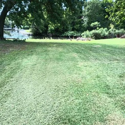 Cypress Lawn & Landscape Logo