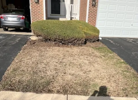 Affordable outdoor landscaping in West Chicago, IL by Cypress Lawn