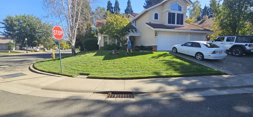 Top-rated landscaping services near you in Roseville, CA by Cypress Maintenance