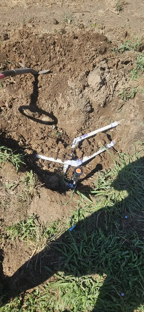 Reliable landscaping services for homes across Roseville, CA - Cypress Maintenance