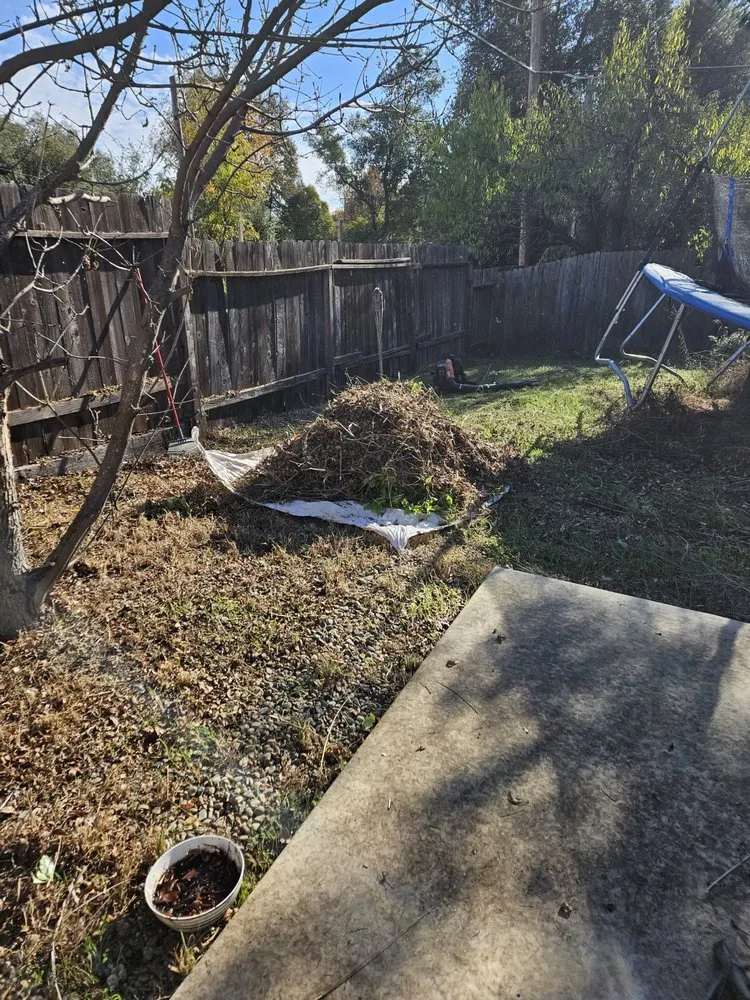 Affordable landscape installation near you across Roseville, CA - Cypress Maintenance