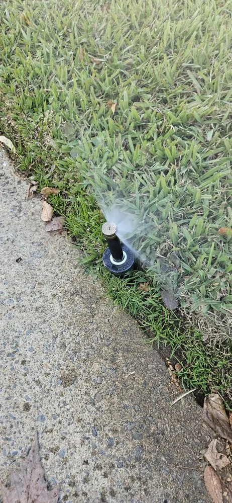 Top-rated yard maintenance in Roseville, CA - Cypress Maintenance