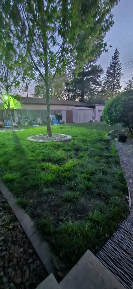 Expert lawn mowing service experts serving Roseville, CA - Cypress Maintenance