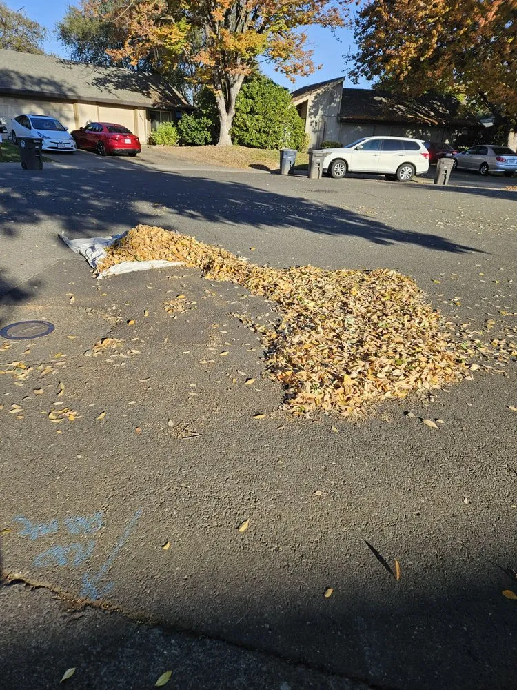 Professional residential landscaping for beautiful yards in Roseville, CA by Cypress Maintenance