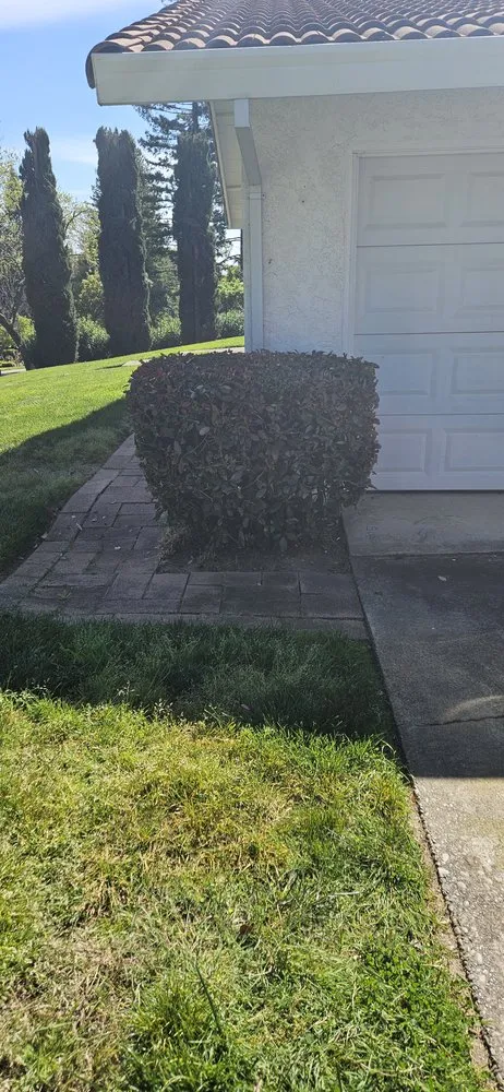 Trusted landscape installation in Roseville, CA by Cypress Maintenance