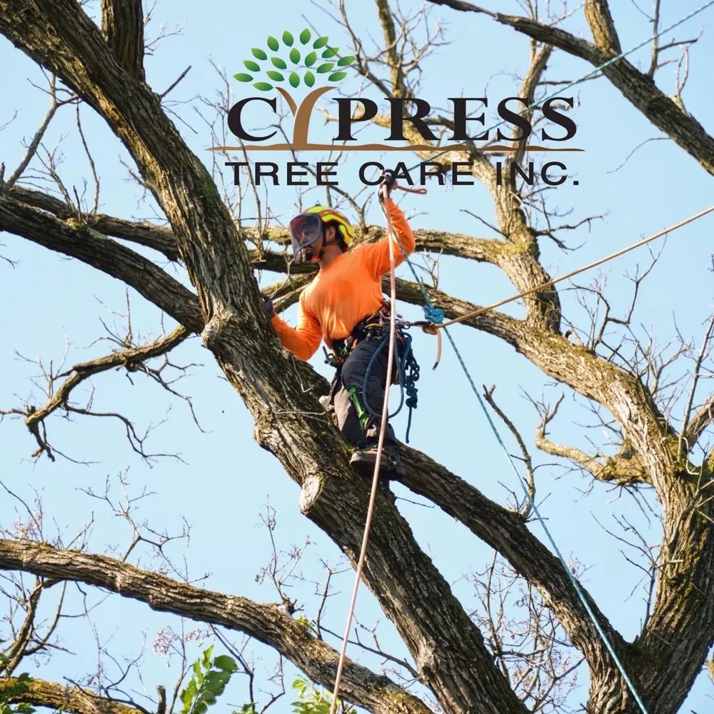 Trusted garden landscaping for year-round maintenance across Carpentersville, IL - Cypress Tree Care & Landscaping