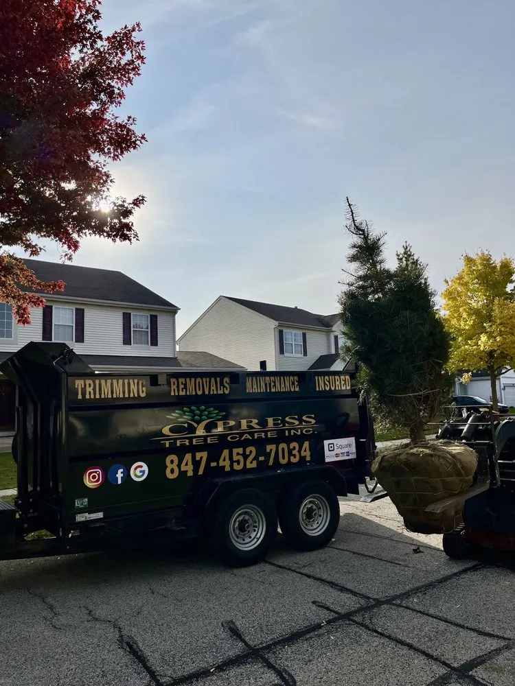 Affordable landscape installation in Carpentersville, IL - Cypress Tree Care & Landscaping