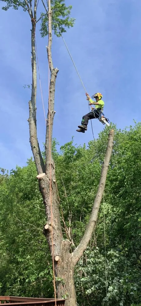 Custom lawn care service in Carpentersville, IL - Cypress Tree Care & Landscaping