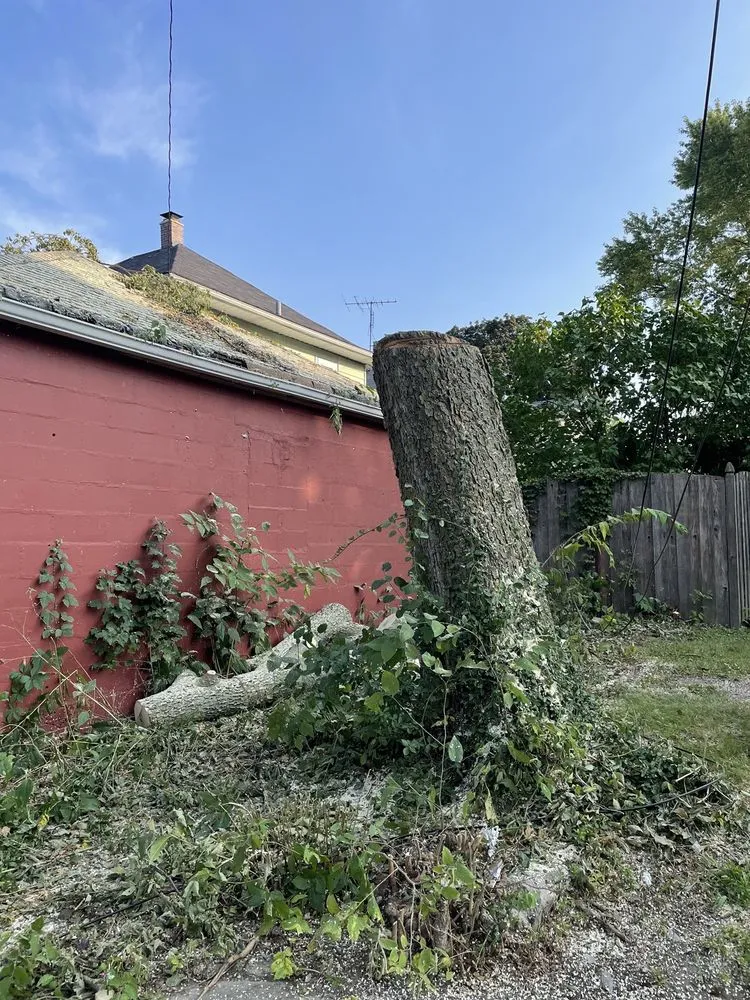 Trusted garden landscaping for year-round maintenance across Carpentersville, IL - Cypress Tree Care & Landscaping