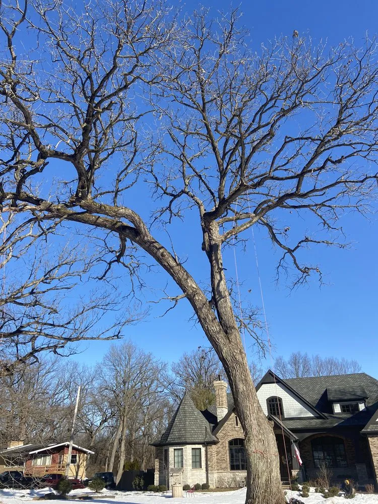 Custom lawn care service experts serving Carpentersville, IL - Cypress Tree Care & Landscaping