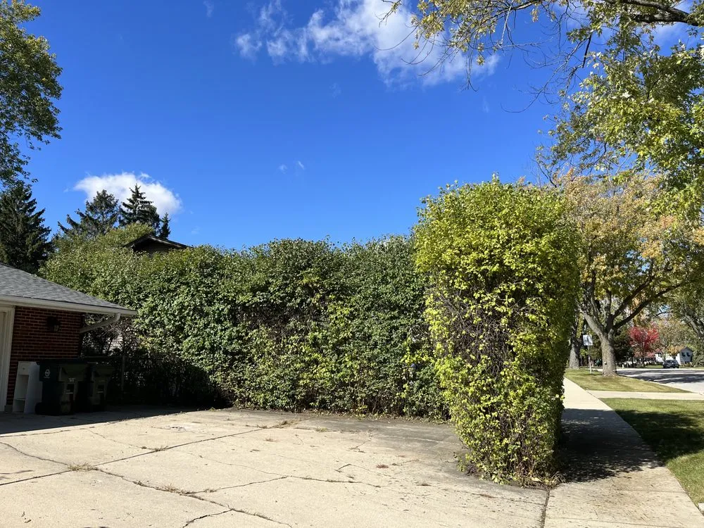 Expert landscaping services in Carpentersville, IL - Cypress Tree Care & Landscaping