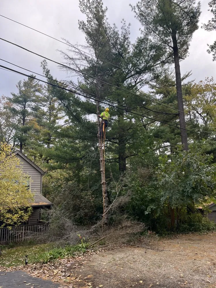 Local lawn care service in Carpentersville, IL by Cypress Tree Care & Landscaping