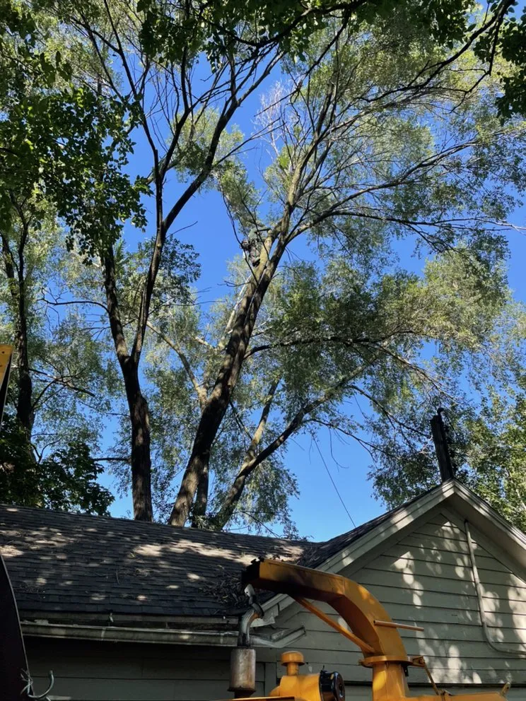 Local lawn mowing service in Carpentersville, IL by Cypress Tree Care & Landscaping