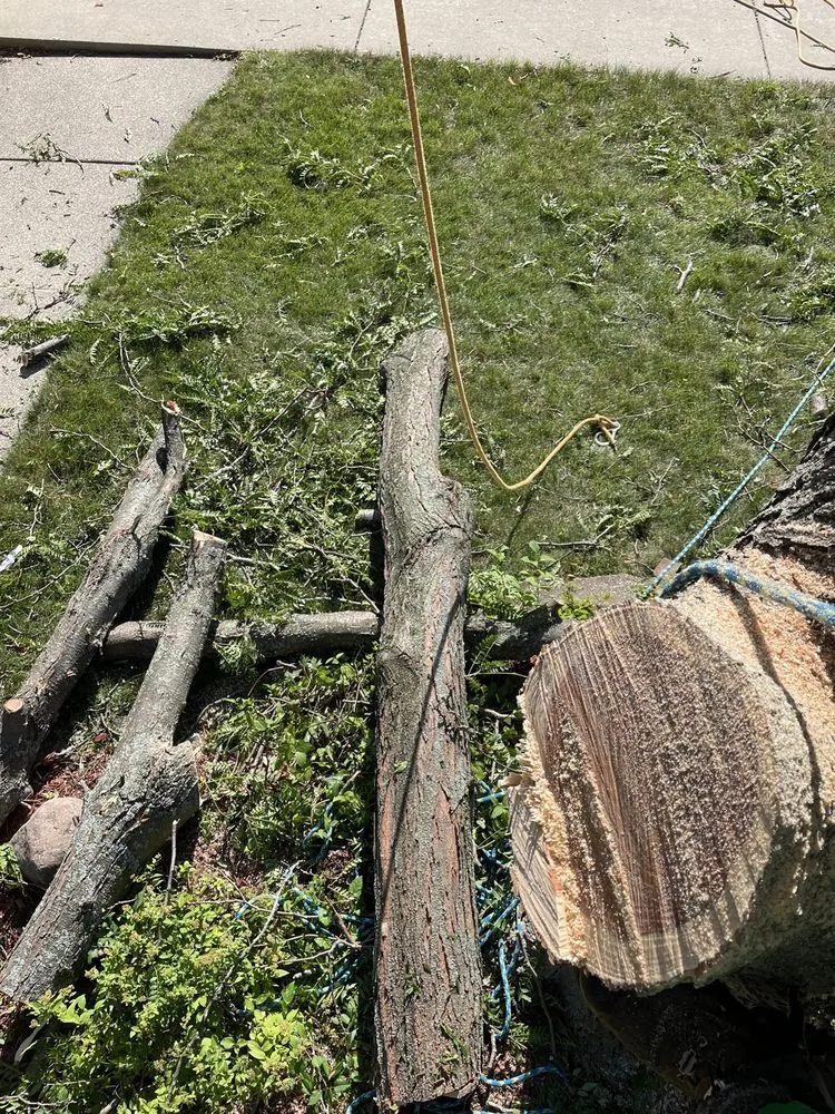 Custom landscape installation in Carpentersville, IL by Cypress Tree Care & Landscaping