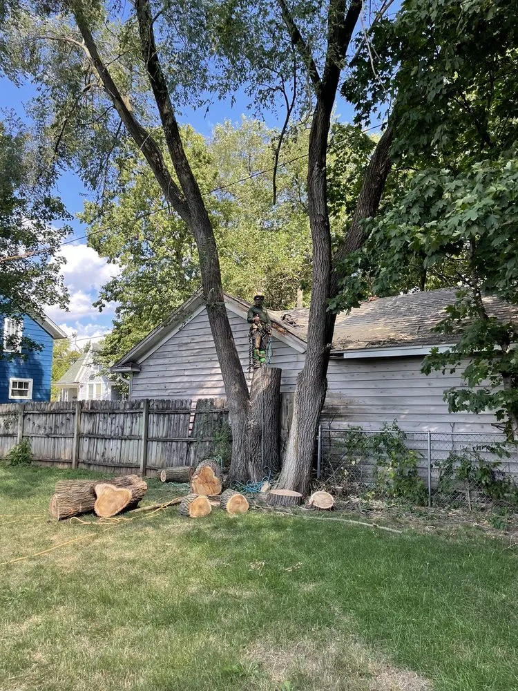 Custom residential landscaping near you across Carpentersville, IL - Cypress Tree Care & Landscaping