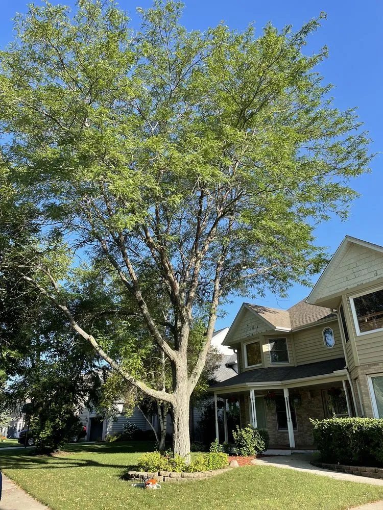 Expert residential landscaping experts serving Carpentersville, IL - Cypress Tree Care & Landscaping