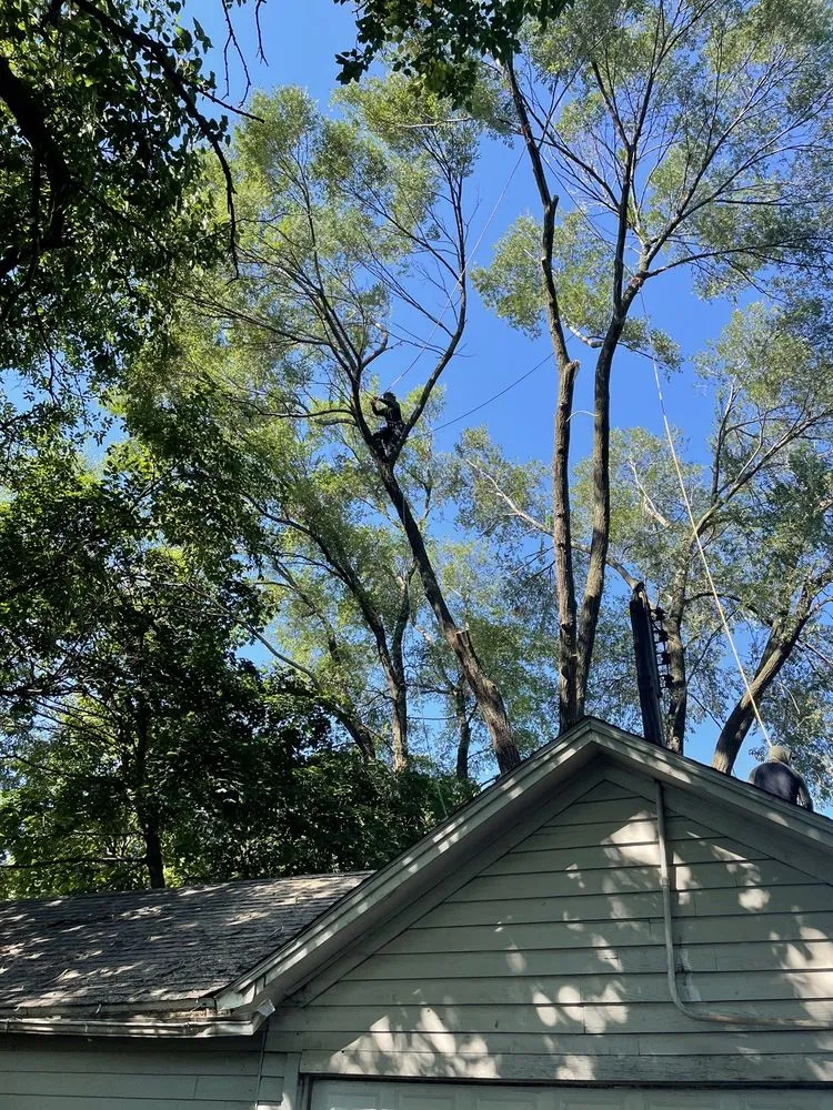 Expert lawn mowing service in Carpentersville, IL - Cypress Tree Care & Landscaping