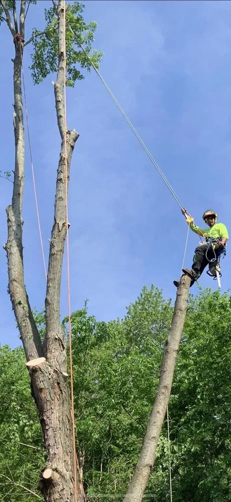 Expert residential landscaping for beautiful yards in Carpentersville, IL by Cypress Tree Care & Landscaping
