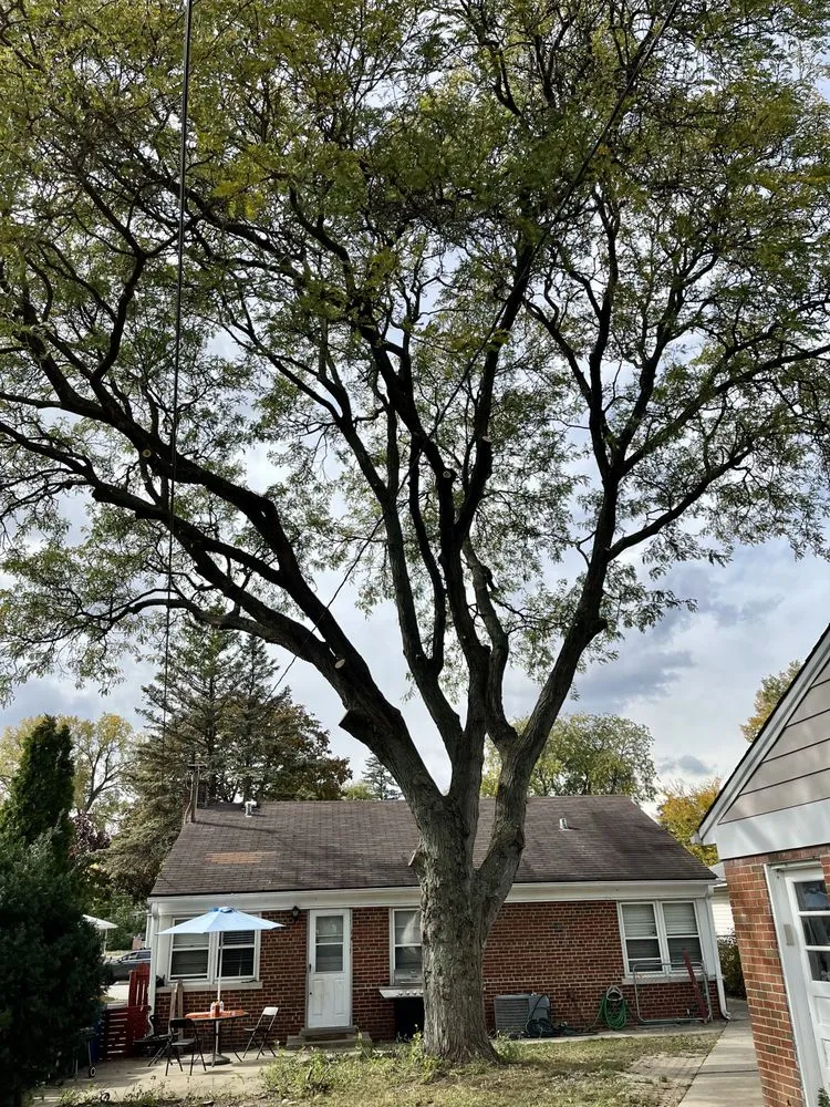 Local landscaping services experts serving Carpentersville, IL - Cypress Tree Care & Landscaping