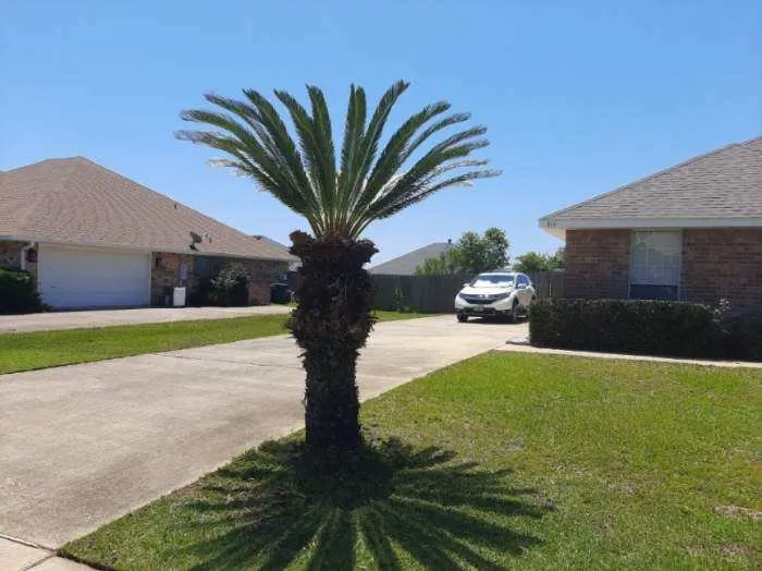 Affordable lawn care service in Foley, AL - Cypret & Son's Lawn Care