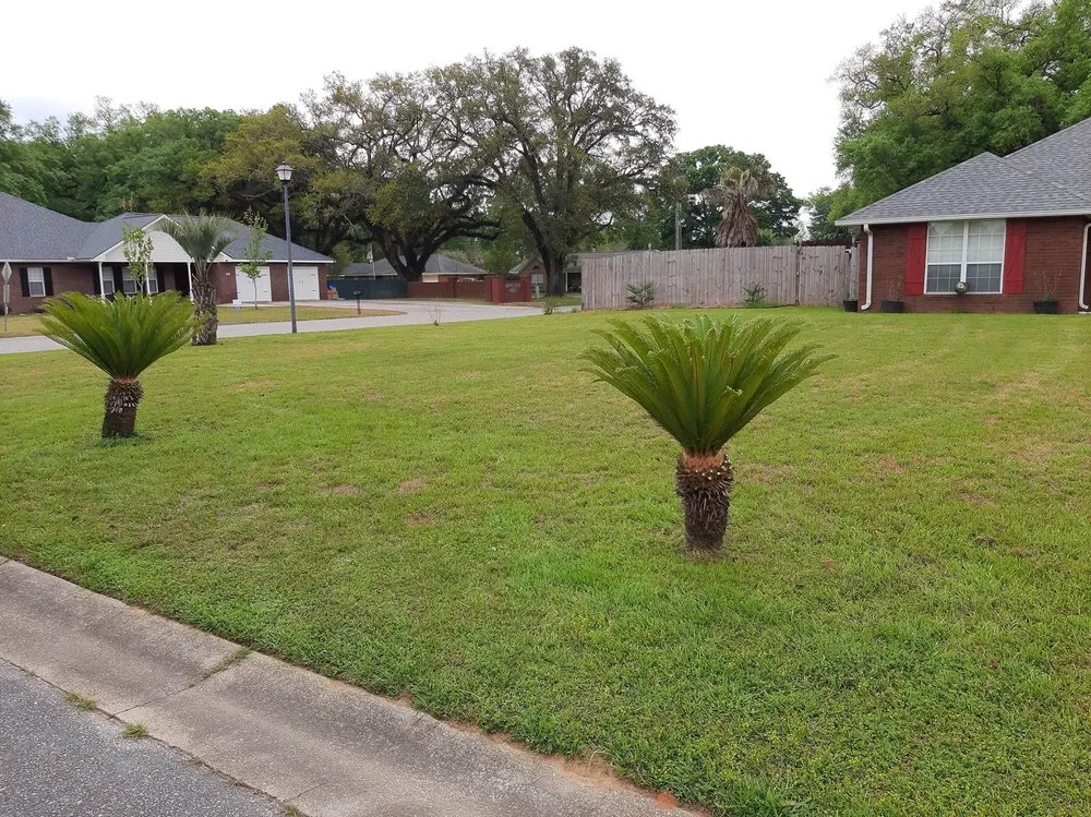 Trusted residential landscaping in Foley, AL by Cypret & Son's Lawn Care