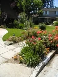Trusted landscape installation in San Jose, CA by Cyprex Construction Landscapes