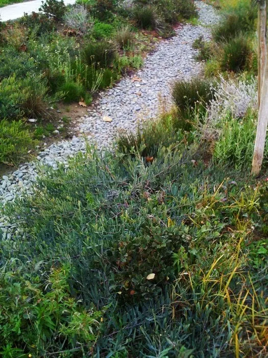 Professional landscape design experts serving San Jose, CA - Cyprex Construction Landscapes