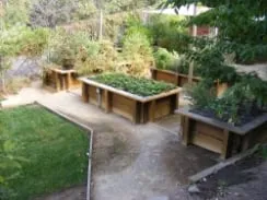 Professional residential landscaping in San Jose, CA by Cyprex Construction Landscapes