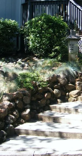 Local yard cleanup service in San Jose, CA by Cyprex Construction Landscapes